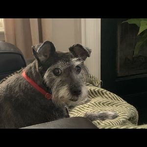 Meet your Posher, Al